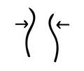 Contoured Side Seams